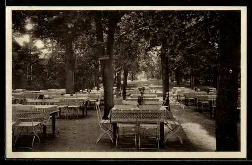 AK Volksdorf, Hotel Stadt Hamburg, Grosser Park, Inh. J. Paulus