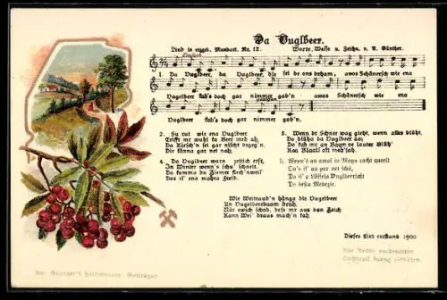 Lied-AK Anton Günther Nr. 12: Da Vuglbeer, Text und Noten
