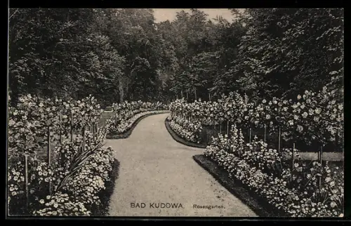 AK Bad Kudowa, Partie im Rosengarten