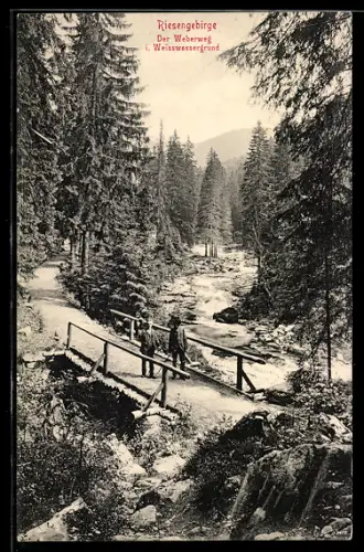 AK Weberweg i. Weisswassergrund, Wanderer auf einer Holzbrücke