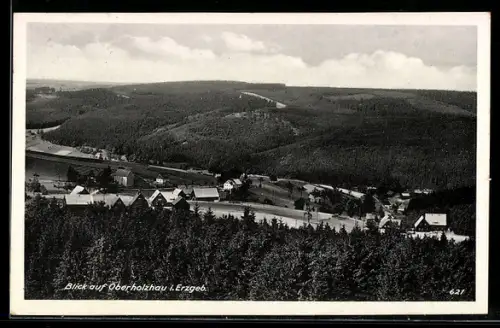 AK Oberholzhau i. Erzgeb., Blick auf den Ort und umliegende Wälder