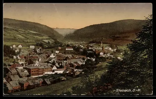 AK Steinach /S.-M., Ortsansicht im Tal