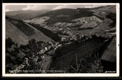AK Mellenbach /Thür. Wald, Ortsteil Blumenau, Talansicht