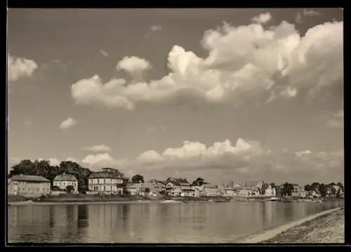 AK Dresden-Laubegast, Blick von der Elbe