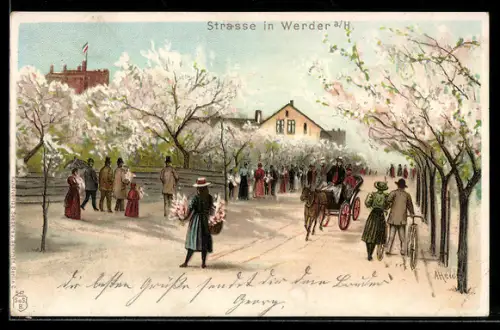Lithographie Werder a. H., Strasse, blühende Bäume, Spaziergänger, Kutsche