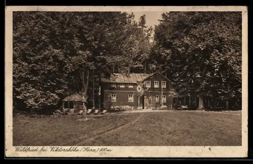 AK Viktorshöhe /Harz, Erholungsheim Waldfried des Unterverbandes Anhalt, 