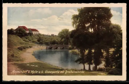 AK Ammendorf /Saale, Elsterpartie mit Brücke und Gasthaus Broihanschänke