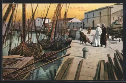 AK Alexandrie, La Douane