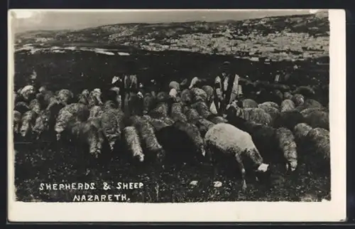 AK Nazareth, Shephers & Sheep
