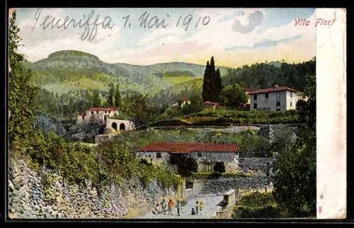 AK Vila Flor, Panorama