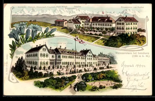 Lithographie Weissenstein bei Solothurn, Hotel mit Eiger, Mönch und Jungfrau, Schloss Weissenstein von Süden