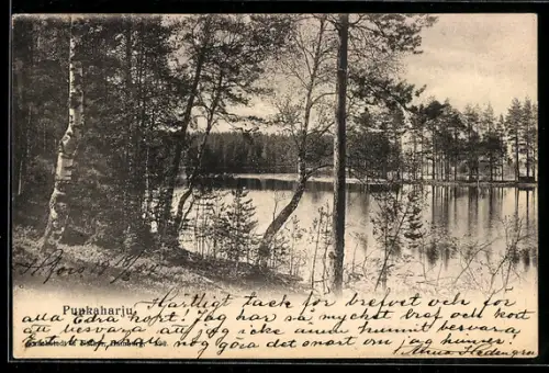 AK Punkaharju, Seepartie