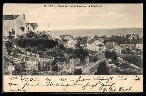 AK Cintra, Vista das Novas Olvenidas da Estephania