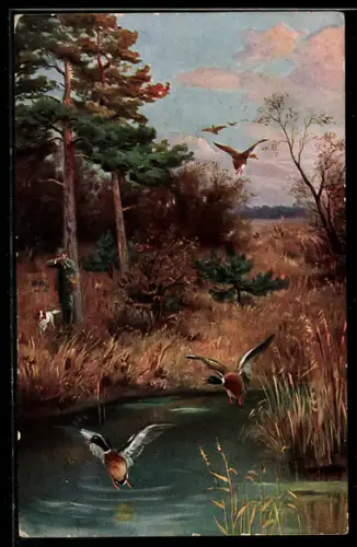 AK Waidmann auf Entenjagd