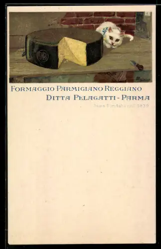 Künstler-Lithographie Parma, Ditta Pelagatti, Formaggio Parmigiano Reggiano, Reklame für Käse, Katze