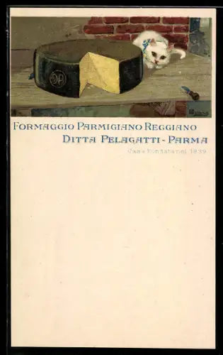 Künstler-Lithographie Parma, Ditta Pelagatti, Formaggio Parmigiano Reggiano, Reklame für Käse, Katze