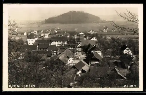 AK Schafisheim, Teilansicht mit Strassenpartie