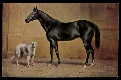 AK Pferd der Rasse Englischer Vollblut und Hund der Rasse Windhund