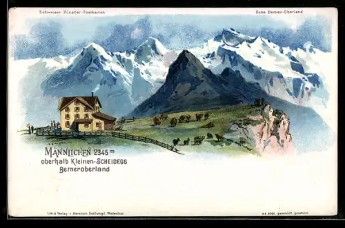 Lithographie Männlichen, Berner Oberland oberhalb Kleinen-Scheidegg, Weidende Rinder