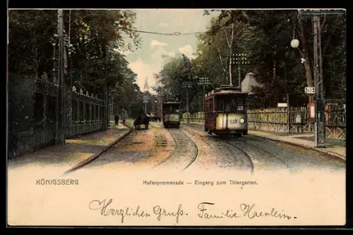 AK Königsberg, Hufenpromenade - Eingang zum Thiergarten, Strassenbahn