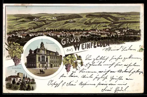 Lithographie Weinfelden, Totalansicht, Rathaus, Schloss