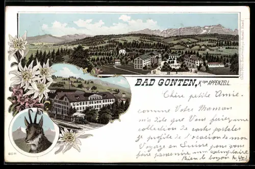Lithographie Bad Gonten b. Appenzell, Ortsansicht aus der Vogelschau, Gämse im Portrait