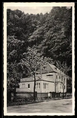 AK Schmilka, Gasthaus Schrammsteinblick, Bes. Engelmann