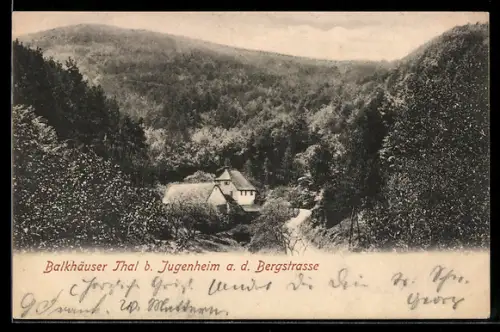 AK Jugenheim a. d. Bergstrasse, Balkhäuser Thal, Talansicht mit Häusern im Wald