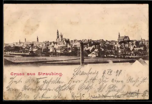 AK Straubing, Stadtpanorama