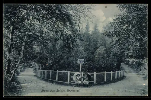 AK Bramstedt, Parkweg mit Ruhebank