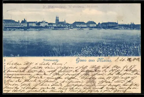AK Mainz, Totalansicht der Stadt