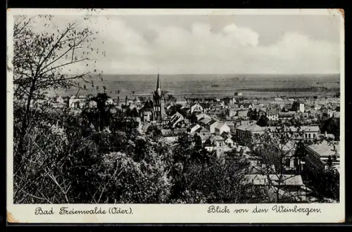 AK Bad Freienwalde /Oder, Blick von den Weinbergen