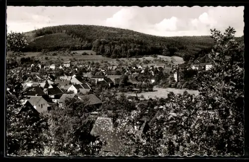 AK Mümling-Grumbach /Odw., Teilansicht