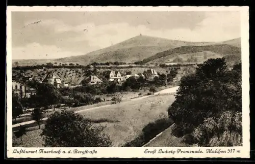AK Auerbach a. d. Bergstrasse, Ernst Ludwig-Promenade