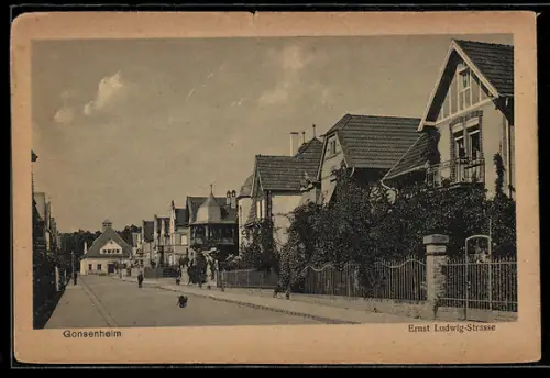 AK Gonsenheim, Ernst Ludwig-Strasse mit Mann