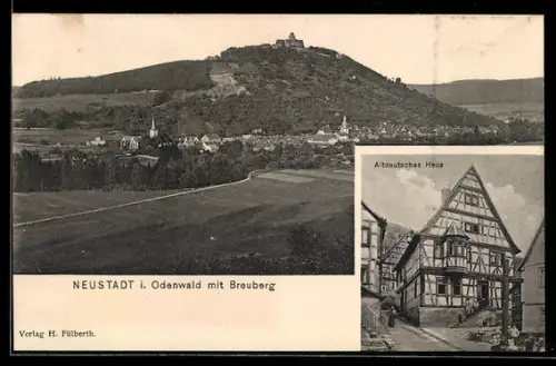 AK Neustadt i. Odw., Altdeutsches Haus, Ortsansicht gegen Breuberg