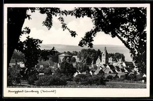 AK Camberg /Taunus, Teilansicht