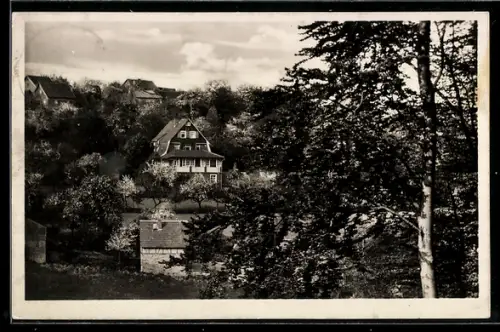 AK Vielbrunn i. Odenw., Odenwaldheim