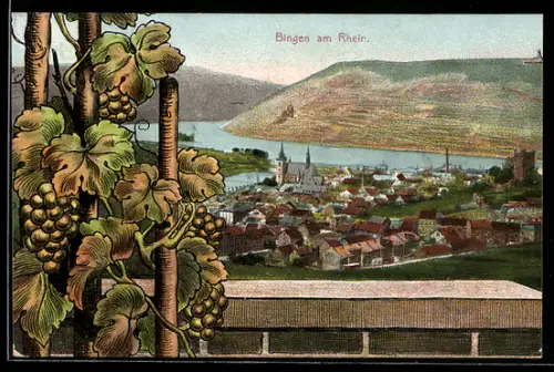 AK Bingen am Rhein, Teilansicht, Weinreben