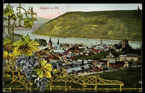 AK Bingen am Rhein, Totalansicht mit Flusspartie