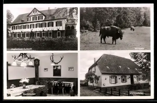 AK Eulbach i. Odw., Waldgaststätte, Inneres Gastzimmer, Jagdschloss Eulbach