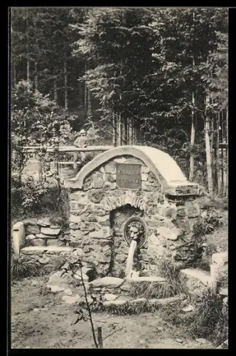 AK Fehrenbach in Thüringen, Werraquelle im Wald