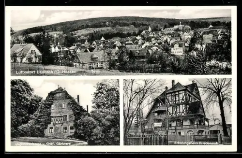 AK Laubach / O.-Hessen, Jugendherberge & Gräfl. Gärtnerei, Erholungsheim Friedensruh