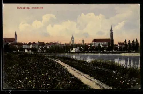 AK Straubing, Totalansicht, Feldweg, Donau