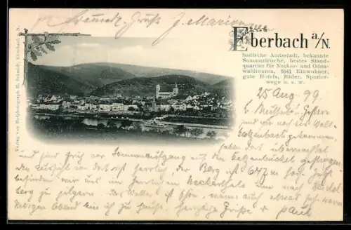AK Eberbach a. N., Gesamtansicht der Stadt, Schloss, Neckartal