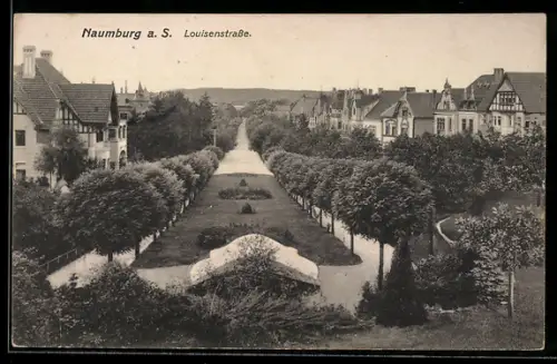 AK Naumburg a. S., Louisenstrasse aus der Vogelschau