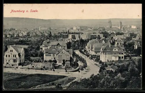 AK Naumburg a. Saale, Stadtansicht mit Wohnhäusern und Dom