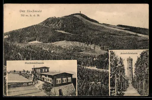 AK Hochwald /Zittau, Hochwaldbaude, Aussichtsturm, Bergansicht