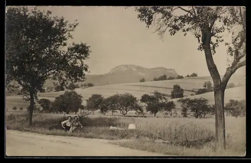 Foto-AK Treffurt, Blick auf den Heldrastein, Landschaft mit Feldern und Obstbäumen, 1925