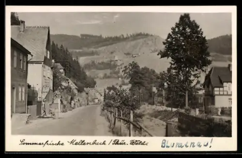 AK Mellenbach /Thür. Wald, Strassenansicht, Fachwerkhaus, bewaldete Berge
